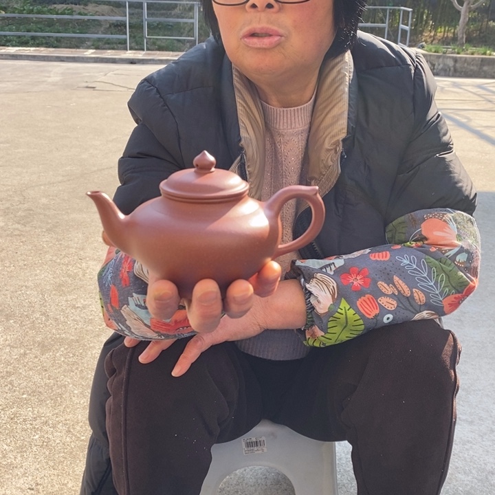 紫砂茶壶宜兴紫砂工艺美术精品