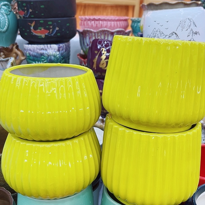 多肉植物陶瓷花盆