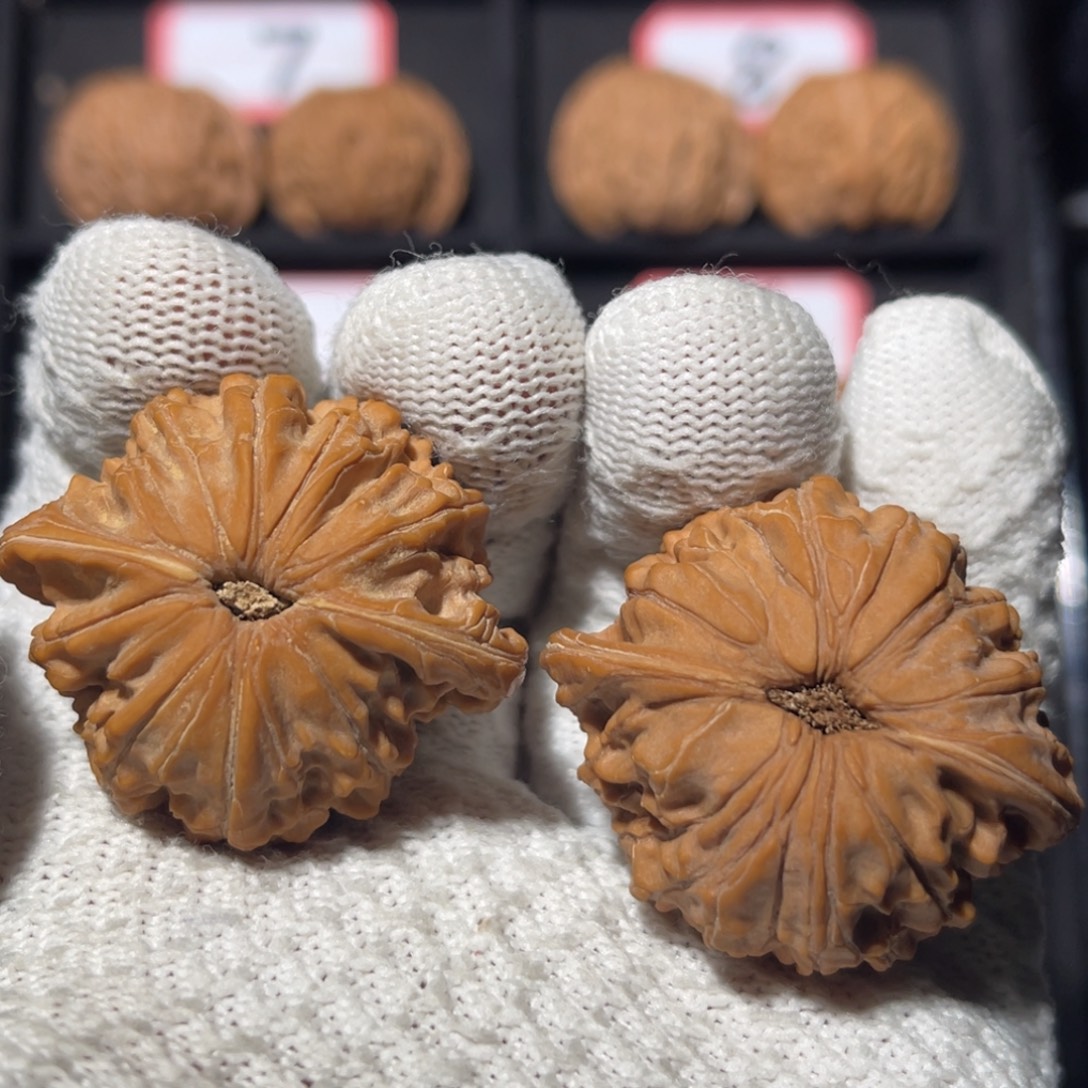 小***阎文玩核桃吊坠05秦皇岛山地果全品