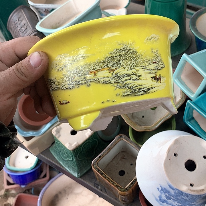 紫砂哈哈真的是太给力太火爆了