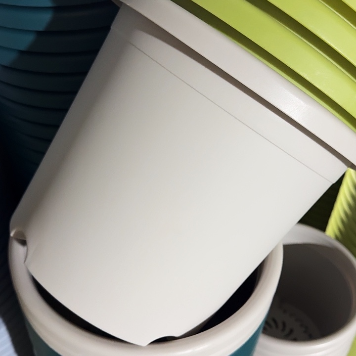 四季5号灰白带托5套