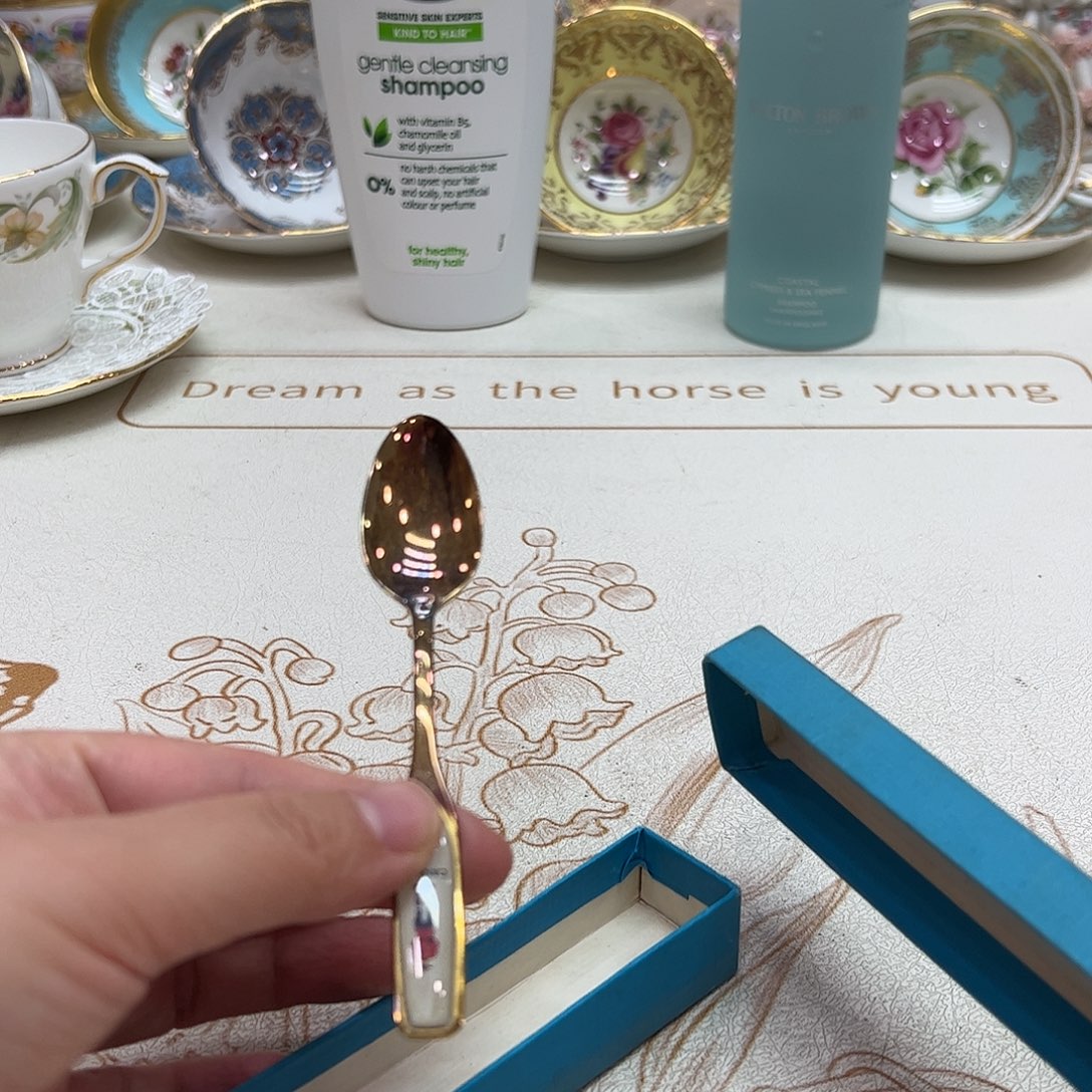 盘维多利亚欧洲中古