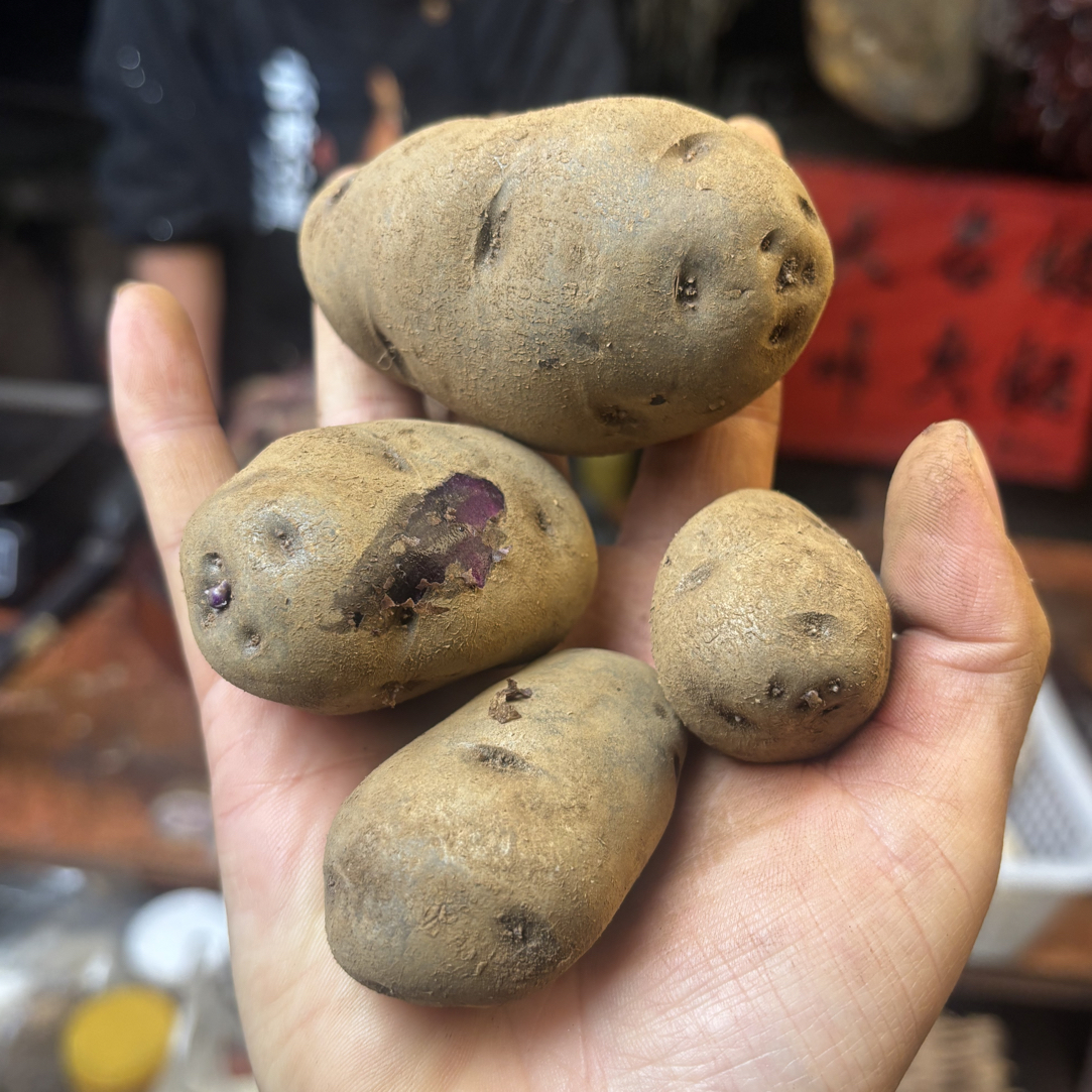 盘县本地钻心乌土豆