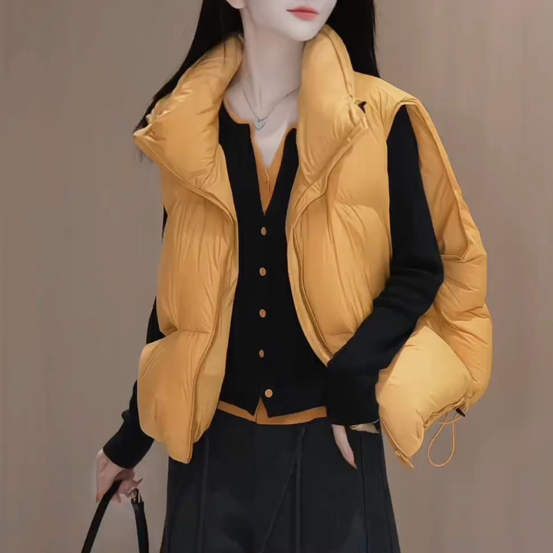 韩版复古加厚马甲棉服女秋冬2026新款休闲宽松小个子无袖马夹外套