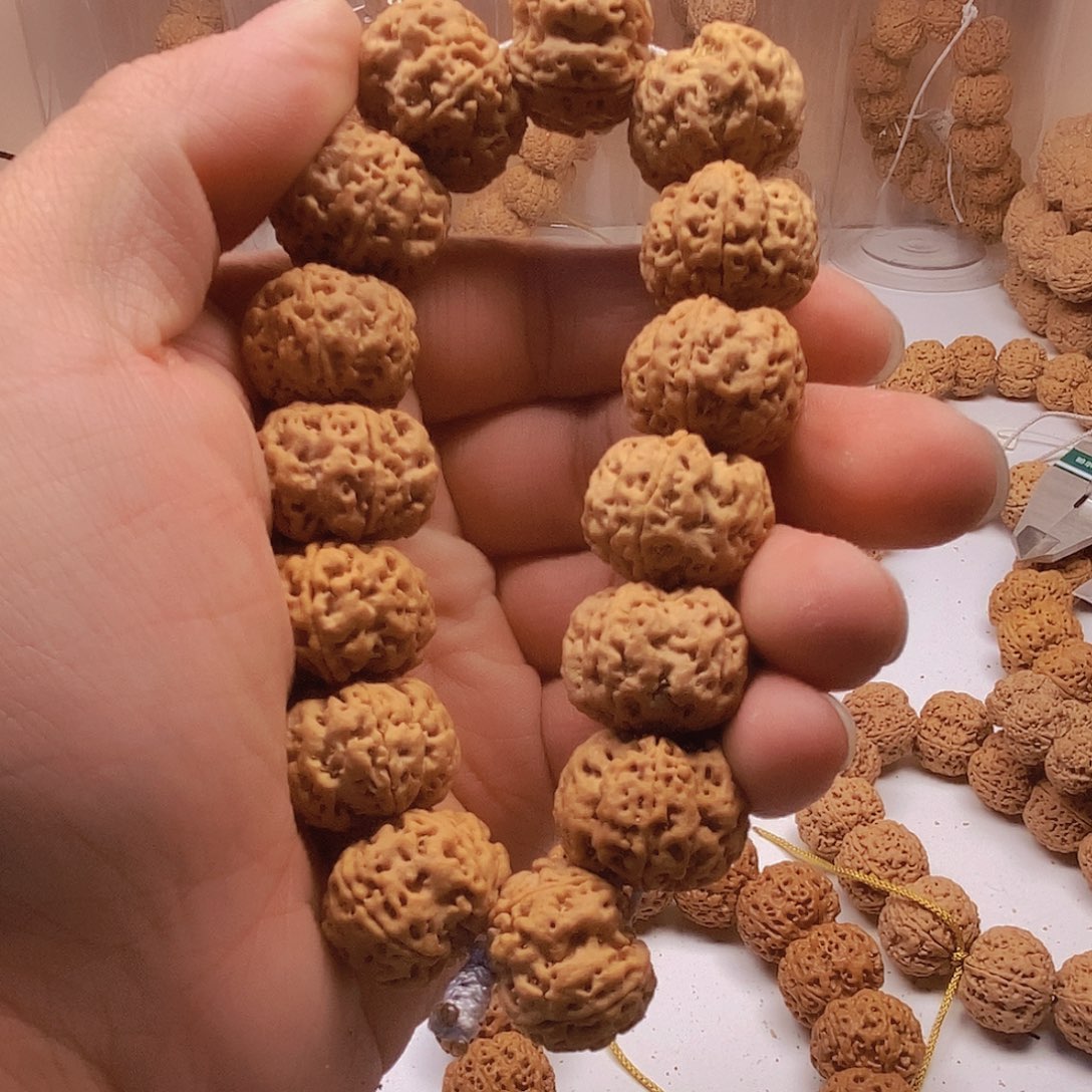 金刚菩提把件5瓣22粗筋梅花