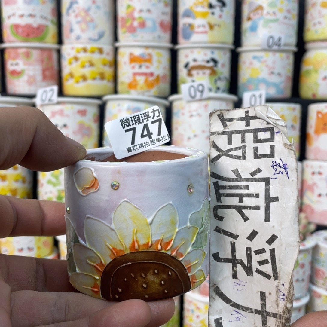 747 小嘟嘟嘟嘟嘟花盆