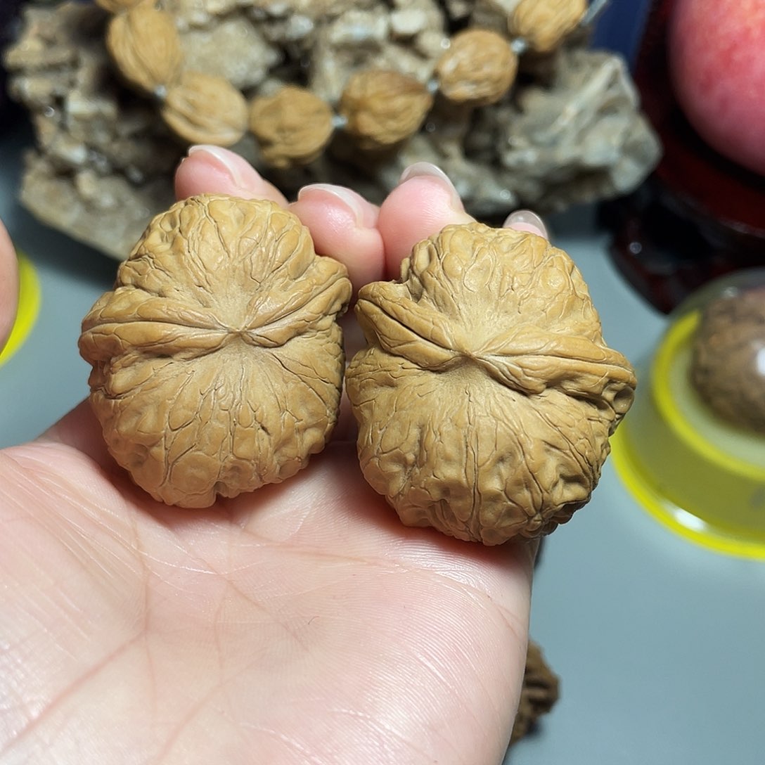 核桃手串/手链精品元宝飞蛇