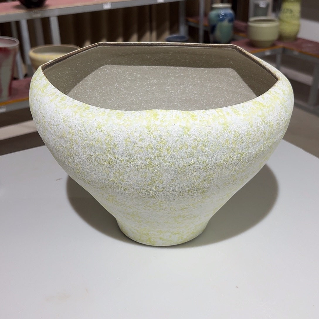 梵***花微瑕不退不换高22口25