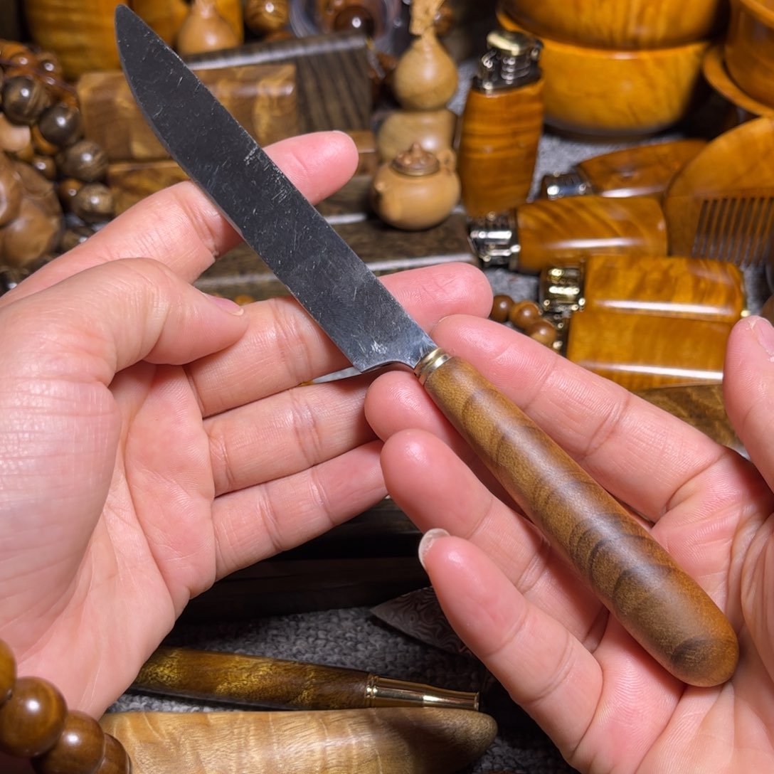 金丝楠茶刀小叶桢楠