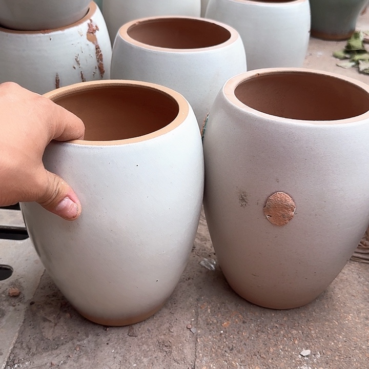 微瑕花盆啦啦来啦