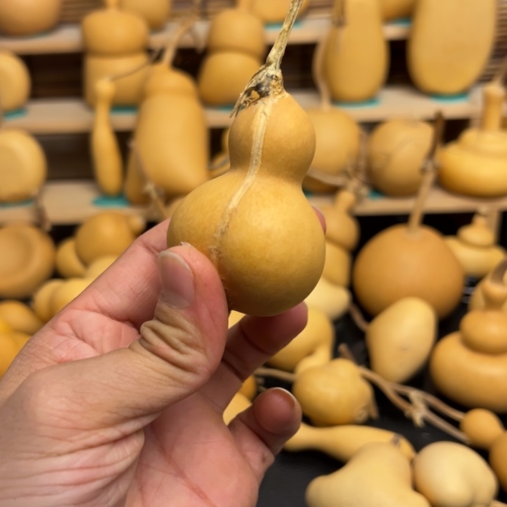 夏*葫芦葫芦葫芦葫芦葫芦葫芦