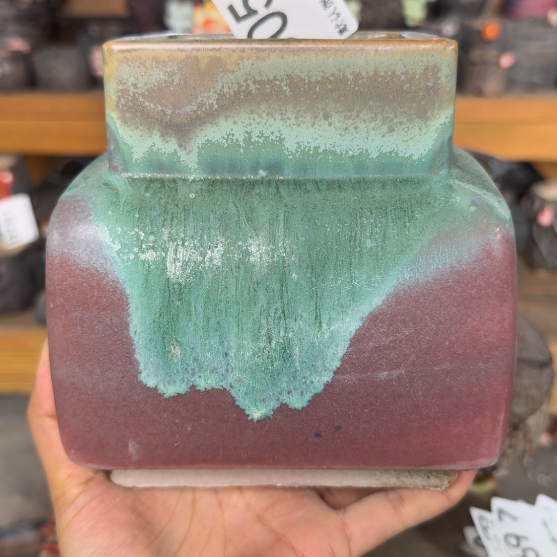 重庆小燕子欢迎大家055