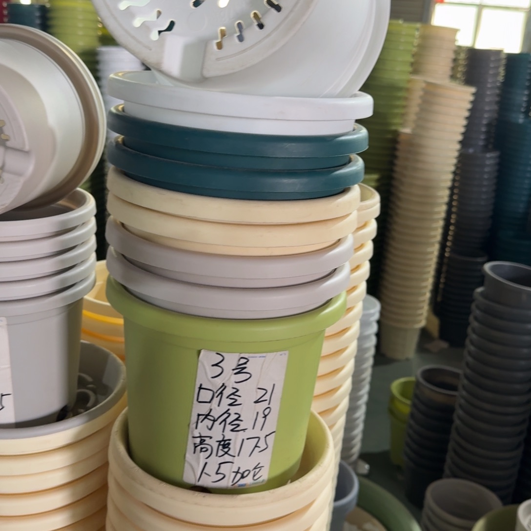 四季3#口径21无拖果绿10个