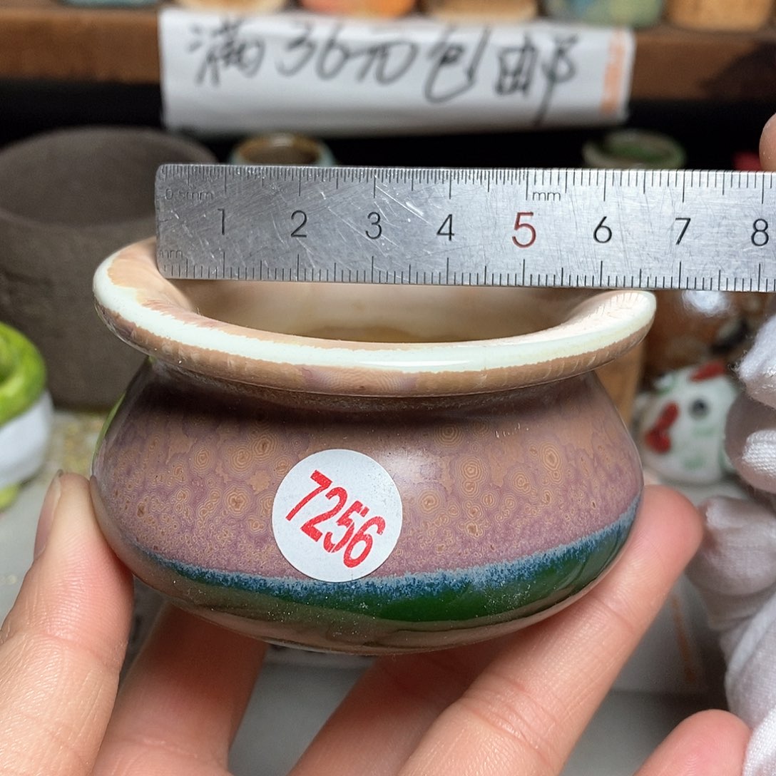 红陶拍5送一个小