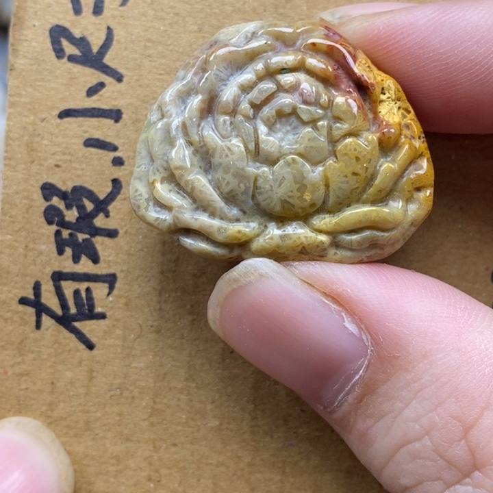 硅化珊瑚（珊瑚玉）未镶嵌颈饰