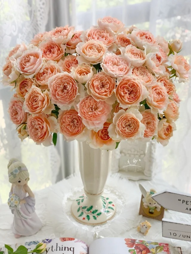 （蔓蔓）杏色拉拉队多头玫瑰8支+2支防损 1单包邮