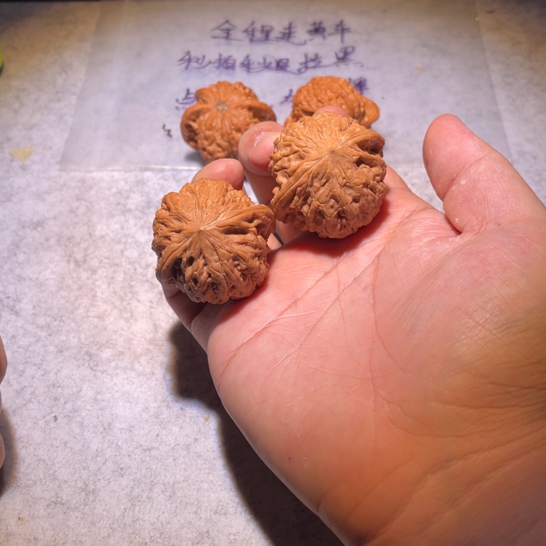 已***置哈哈哈哈哈哈哈哈哈v你看