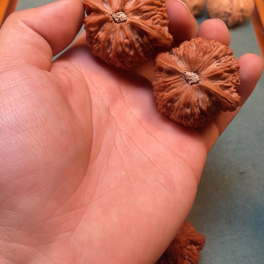 用***1吊坠文玩核桃新品种