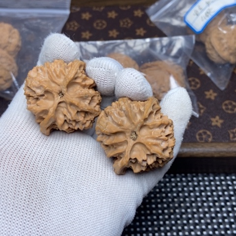 文玩核桃把件老**叔苹果园40