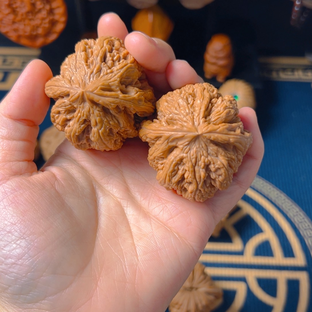 文玩核桃把件多***释粗筋
