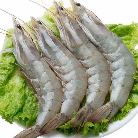 5斤整盒海水大虾12-15厘米/只，15-18只/斤，整盒5斤带薄冰锁鲜