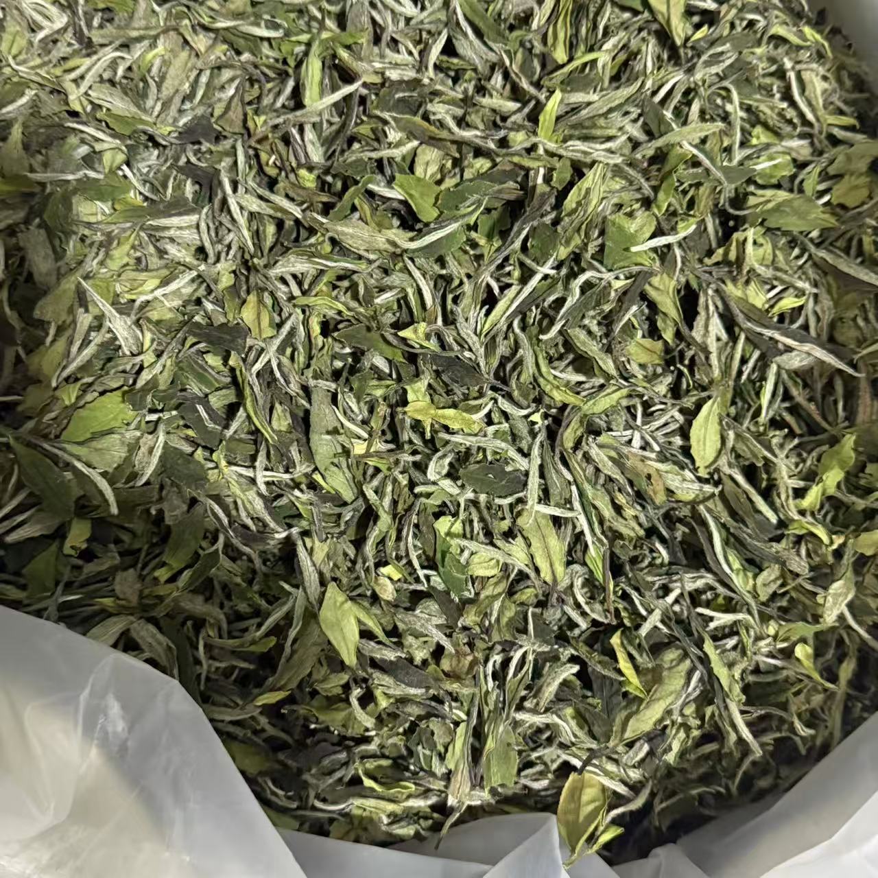 ［盈初］明前荒野牡丹高山白茶白牡丹花香毫香馥郁甘甜茶叶