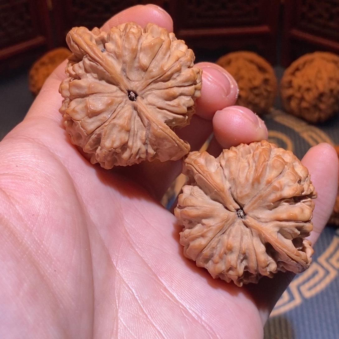 47尺 全品白茬 官帽