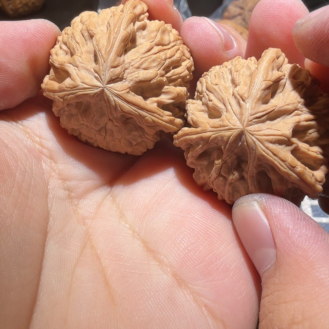 文玩核桃把件御龙正奔