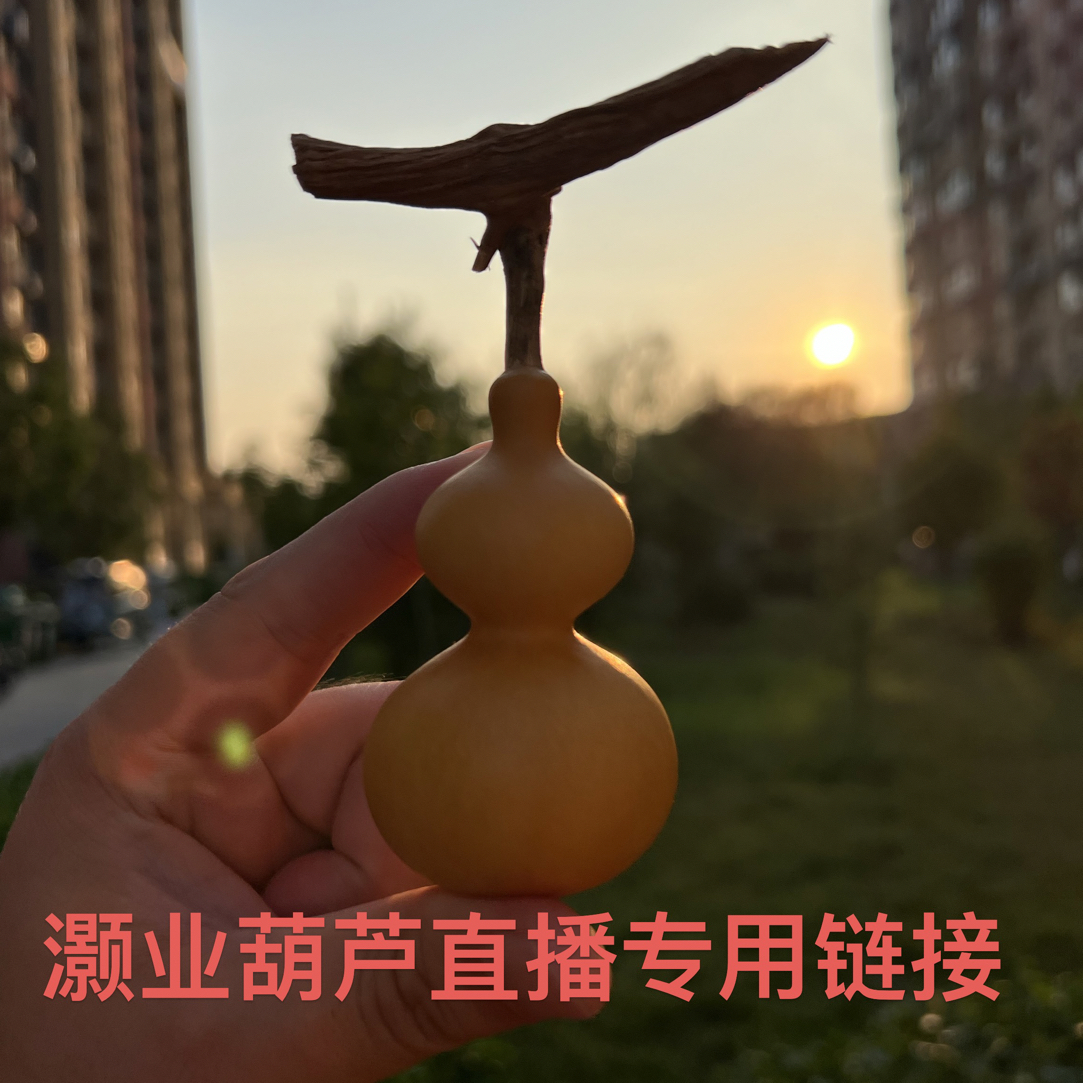 灏业葫芦直播专用链接私下勿拍