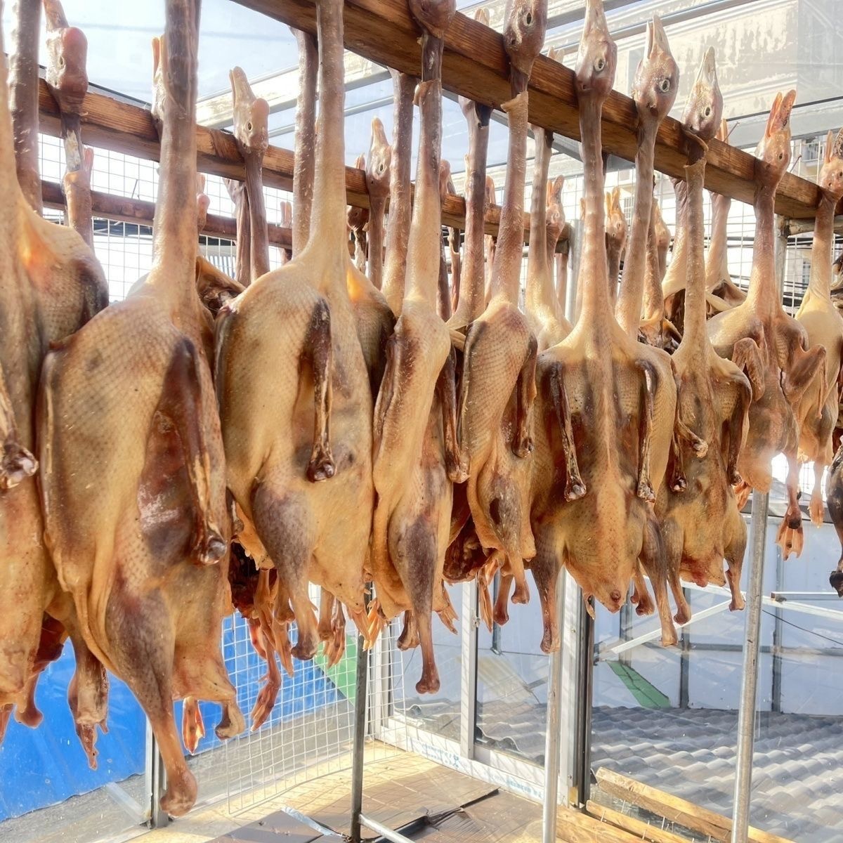 【三只腊板鸭】新鲜腊板鸭特产农家自制风干鸭整只650g左右三只装