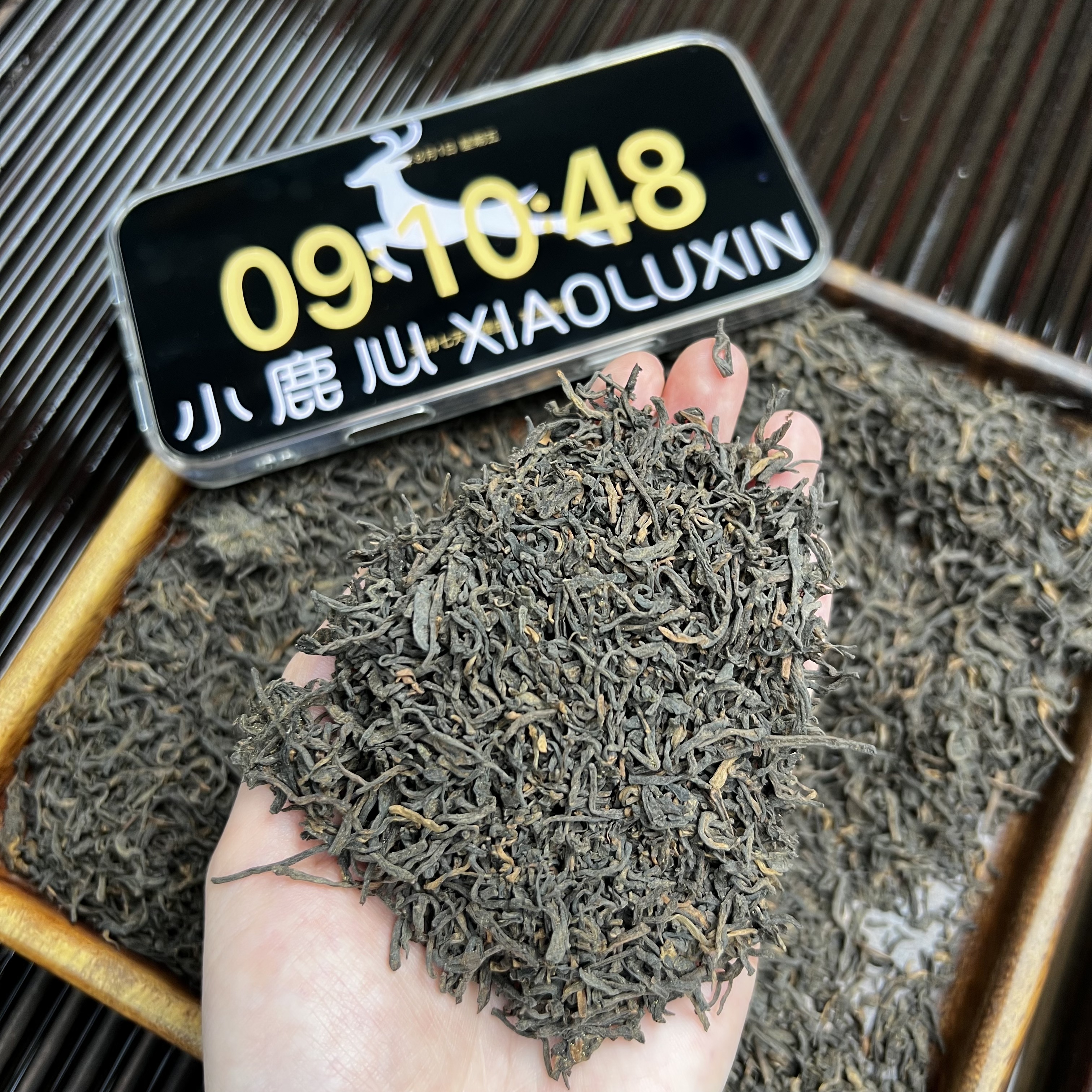 果香六堡茶 小鹿收茶 黑茶 六堡茶 8月1