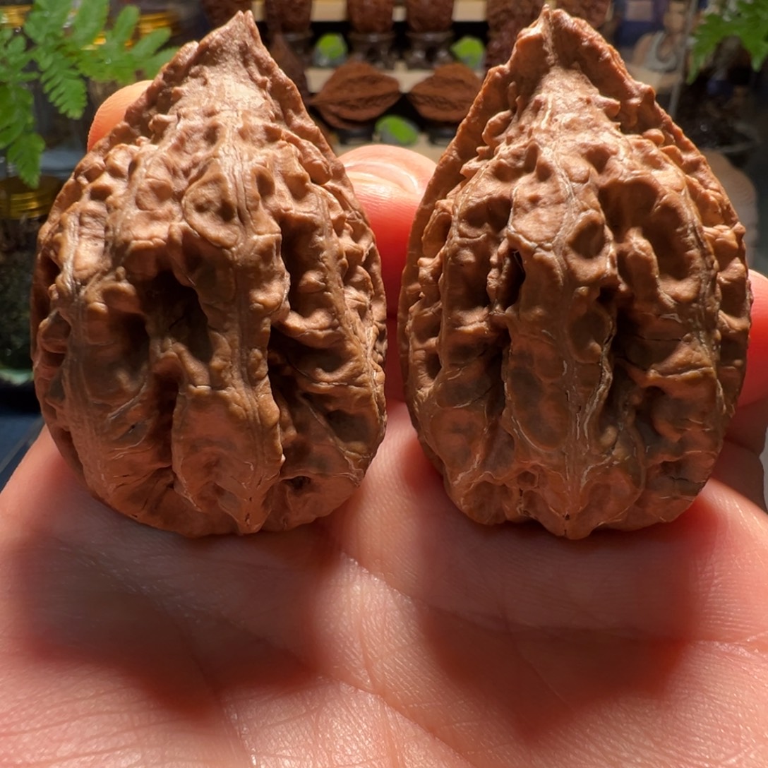 吊坠桃核11111111111