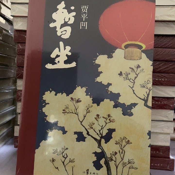 暂坐   平装带塑封