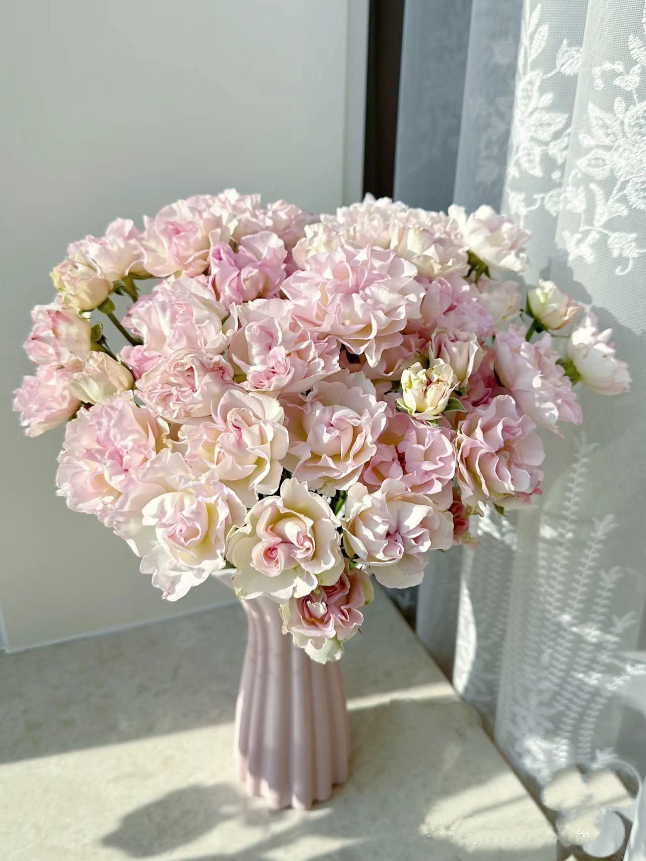 【如熙臻品】贝壳女孩 -稀有多头玫瑰（注意：收到一定带包装醒花）