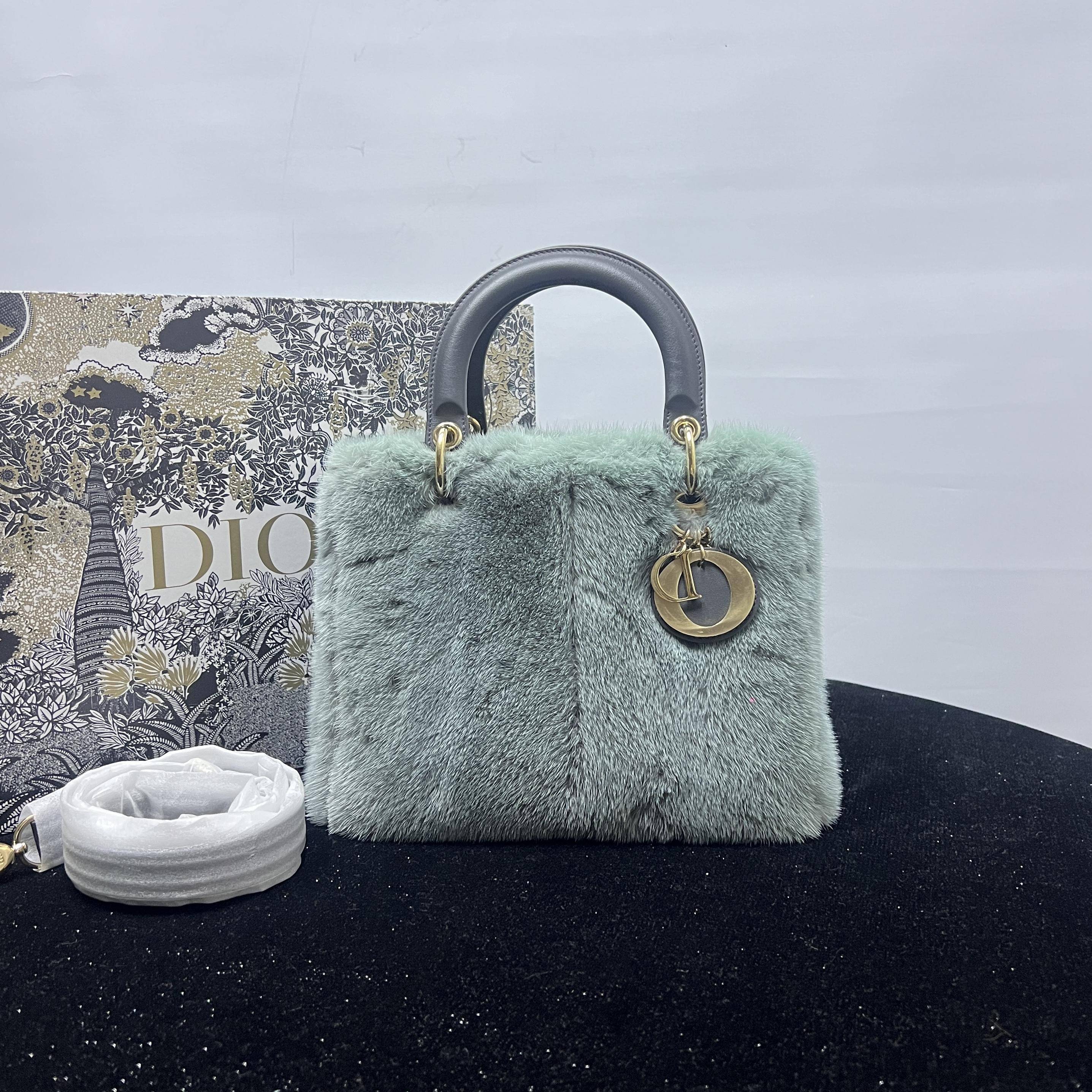 胖虎熙少/迪奥/95新/公价0/箱包/两用包/31T2501300005