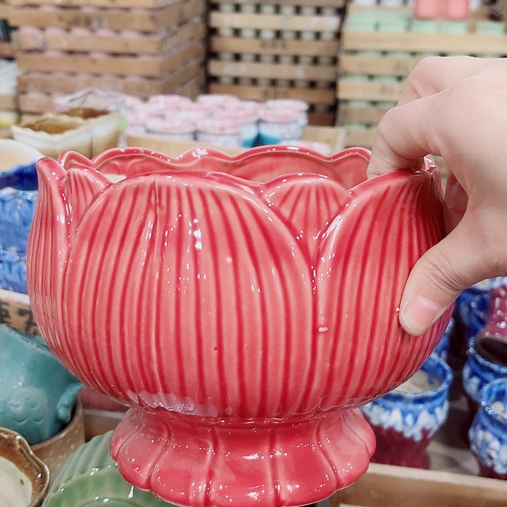 多肉花盆满10元包邮