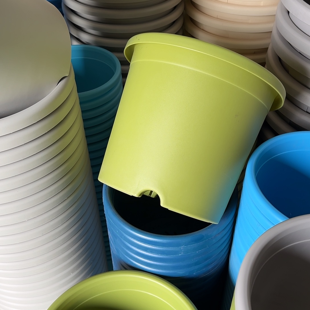 树脂四季6号无托2个果绿