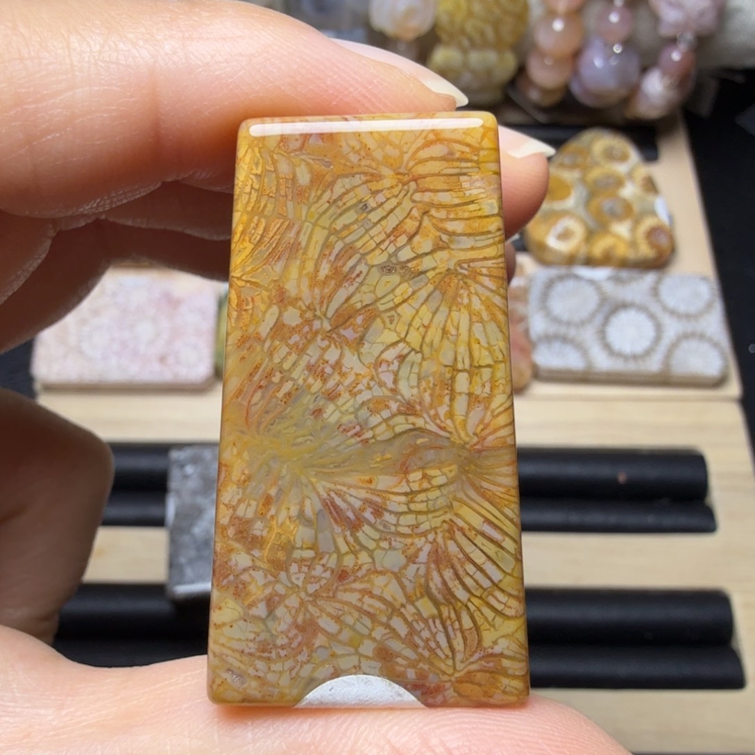 硅化玉未镶嵌红黄玛 瑙质 大凤尾，好盘