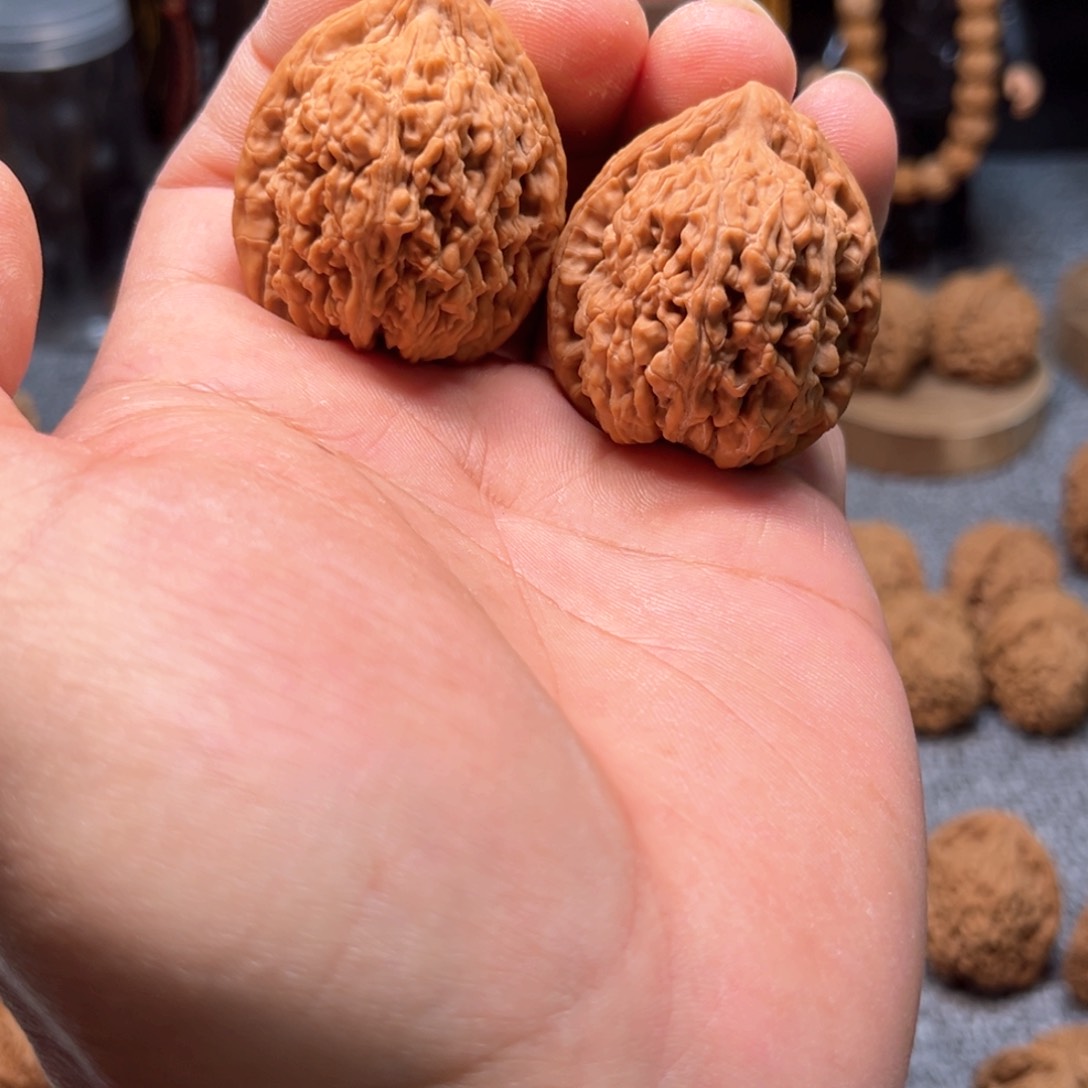 文玩核桃把件蚂蚁王有修