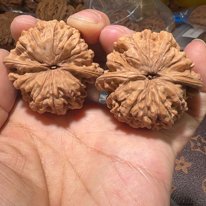 L***L核桃全品无修官帽