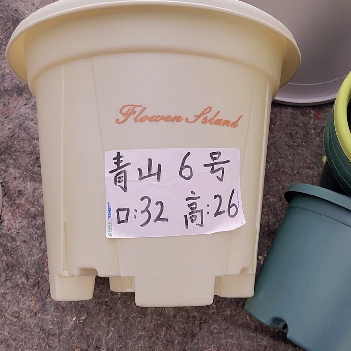 树脂青山6号32口径米色4个