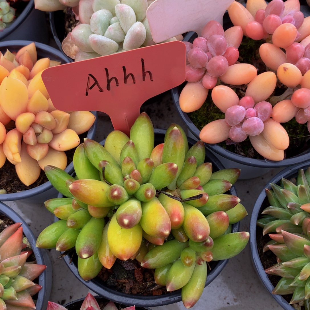 千代田726272772727372