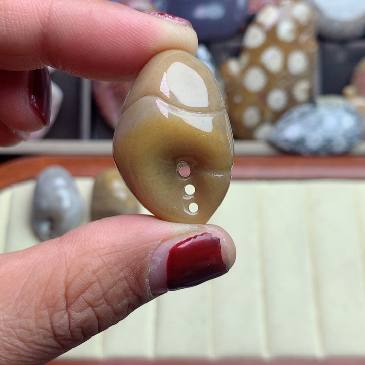 硅化珊瑚（珊瑚玉）颈饰未镶嵌