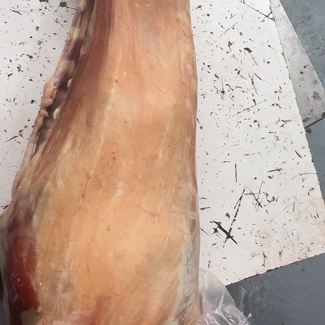 包装中国大陆内蒙古鄂尔多斯山羊私人定制