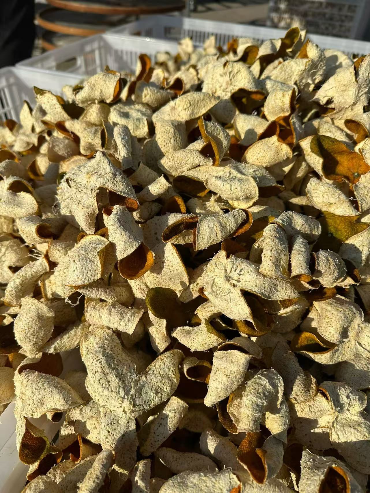 2025南坦原枝大红皮新会陈皮