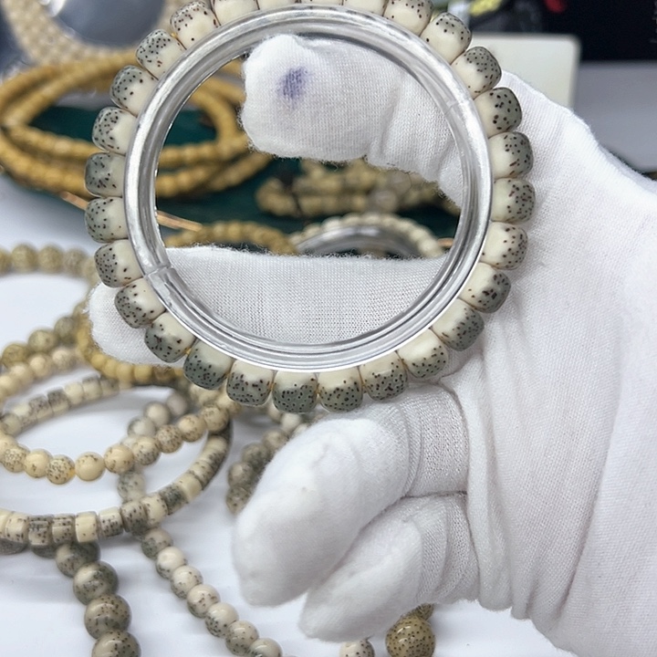 毛卡8绿背河豚白肚皮分界线明显