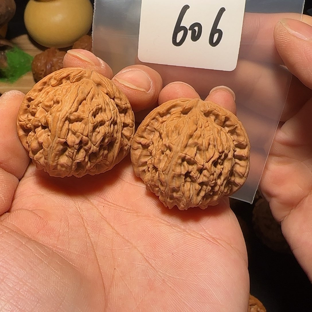 文玩核桃把件606全品40白狮子