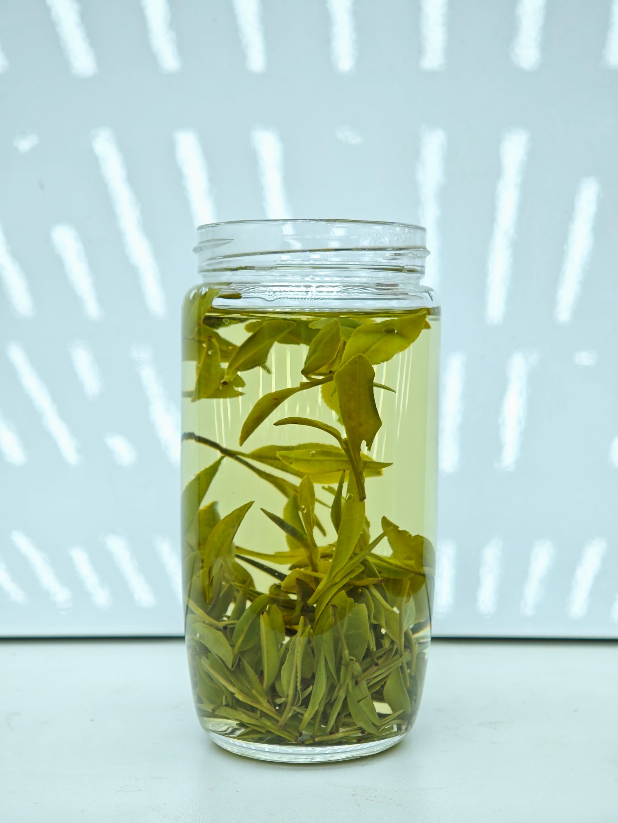 【白茶开播福利】2025年新茶正宗白茶春茶香气高扬茶汤浓郁（福利）