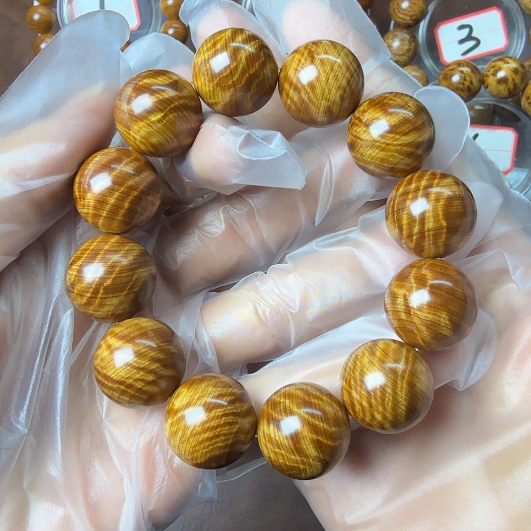 柏木（崖柏）2.0超爆黄金龙胆