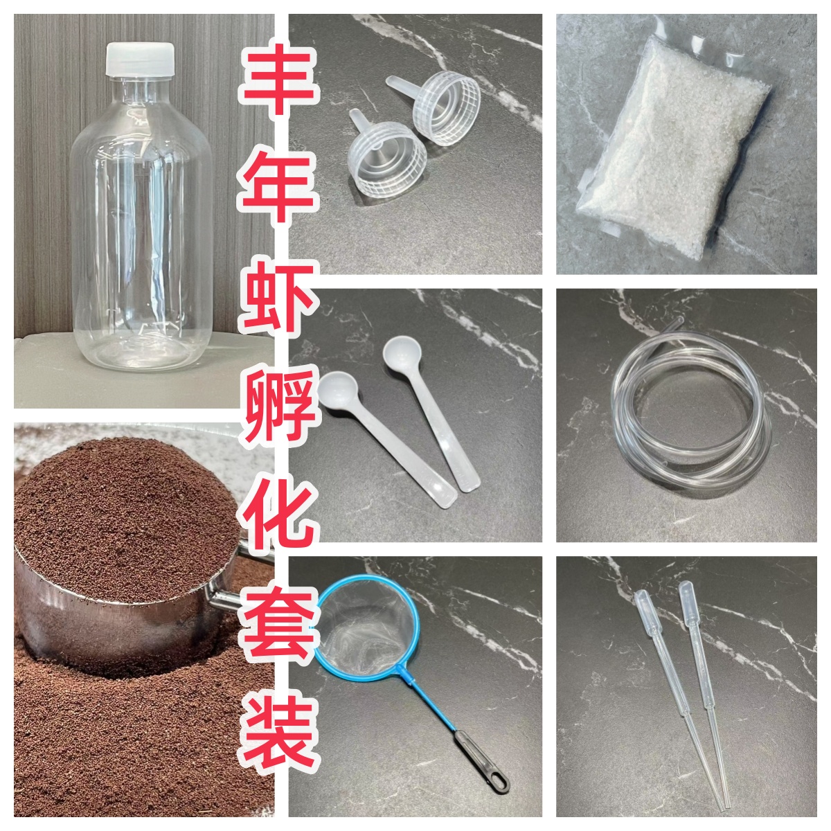 DIY新手孵化丰年虾